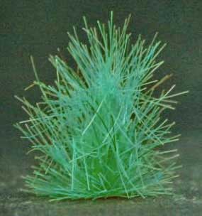 Grass Tuffs- Green Extra Long Tufts of Grass