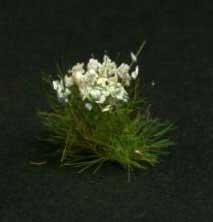 White Flowers