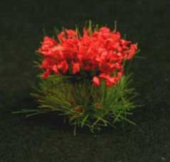 Red Flowers