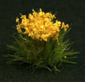 Yellow Flowers