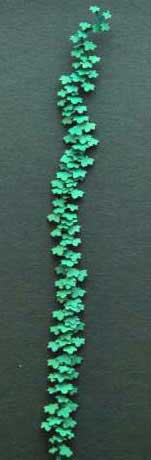Ivy Branch- Green Line Paper Plant
