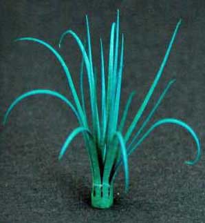 Grass Tufts- Green Line Paper Plant