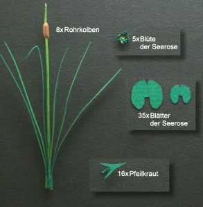 Bulrush, Arrowhead and Water Lily- Green Line Paper Plant