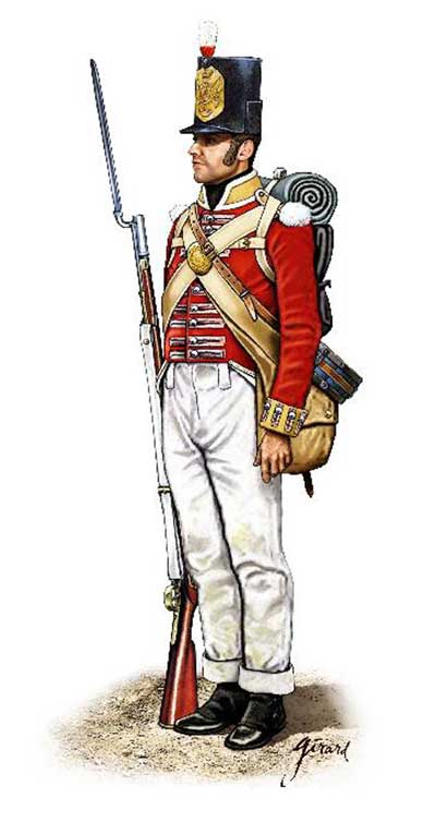 Michigan Toy Soldier Company : Hat Industrie - Napoleonic Peninsular ...