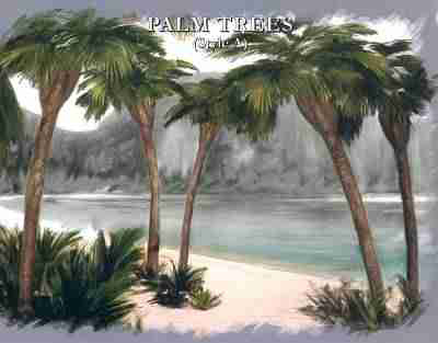 Fan Style Palm Trees