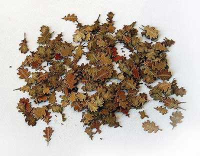 Oak Leaves