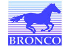 Bronco Models