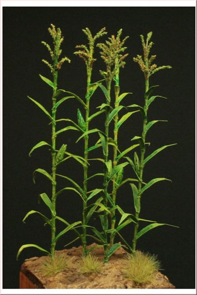 Corn- Green Line Paper Plant