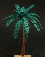 Date Palm