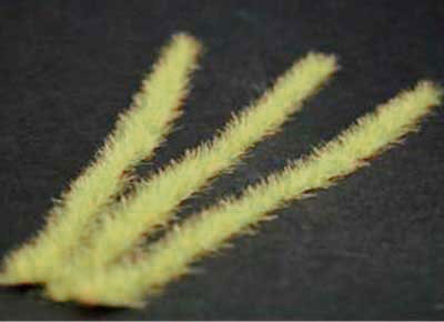 Grass Strips- Dry Long Grass Strips