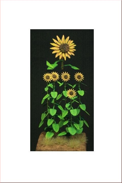 Sunflowers- Green Line Paper Plant