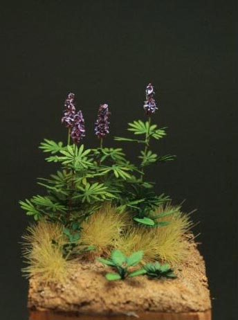 Lupin and Dock Leaves- Green Line Paper Plant