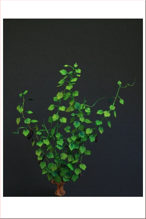 Vines- Green Line Paper Plant