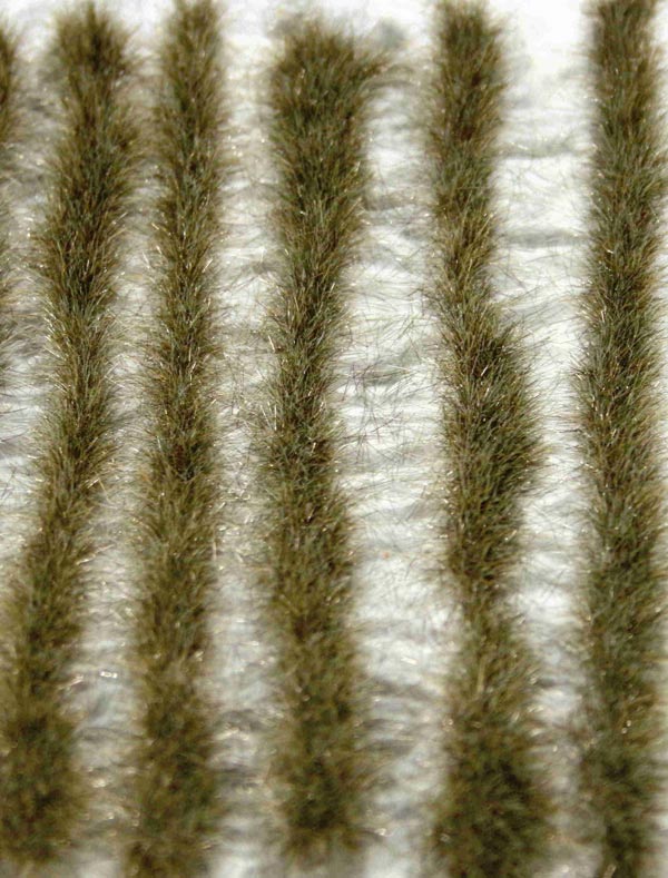 Autumn Coloured Grass Tallies Light