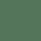 Wash- Green Shade (17ml)