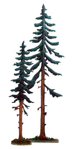 Spruce Trees