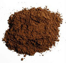 Pigments- Dark Sienna for Mud and Earth Colors