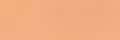 017 Model Color Basic Skin Tone
