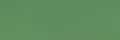 077 Model Color Lime Green