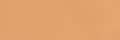 020 Model Color Sunny Skin Tone