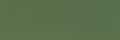 079 Model Color Golden Olive