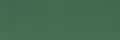 074 Model Color Intermediate Green