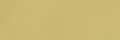 009 Model Color Sand Yellow