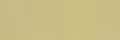 008 Model Color Beige