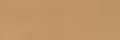 019 Model Color Dark Flesh