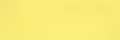 010 Model Color Light Yellow