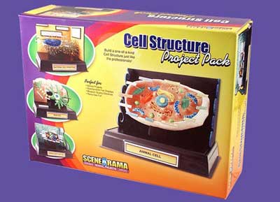 Scene-A-Rama - Project Pack - Cell Structure