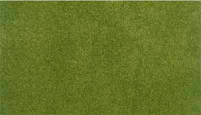 Ready Grass - Roll Mat - Spring Grass Medium 33 x 50in