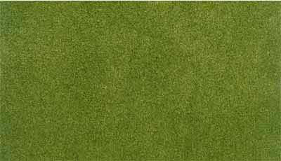 Michigan Toy Soldier Company Woodland Scenics Ready Grass
