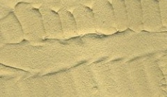 Vallejo Earth Textures- Sandy Paste 200ml.