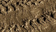 Vallejo Earth Textures- Brown Earth 200ml.