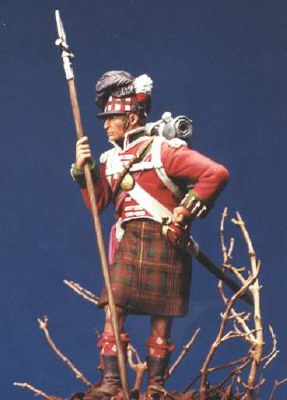 Sgt 79th Cameron Highlanders 1810-1815