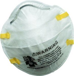 Dust Mask (2Pk)