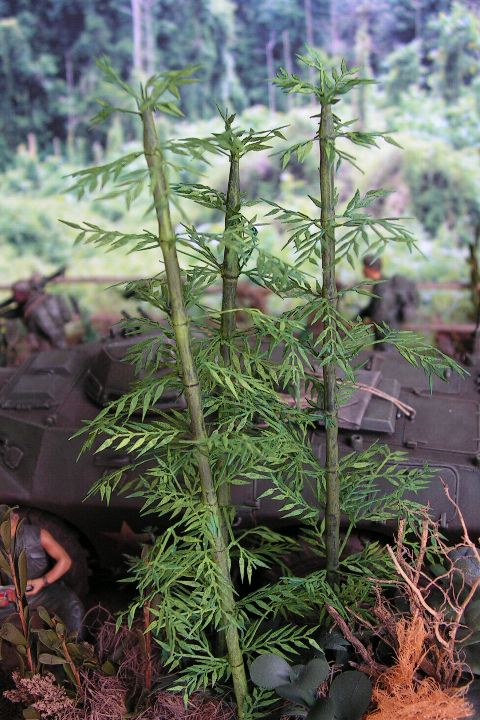 Bamboo- Green Line Paper Plant