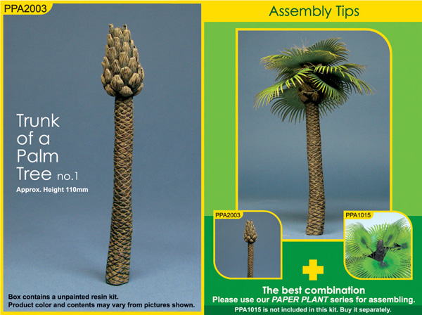 Palm Tree Trunk