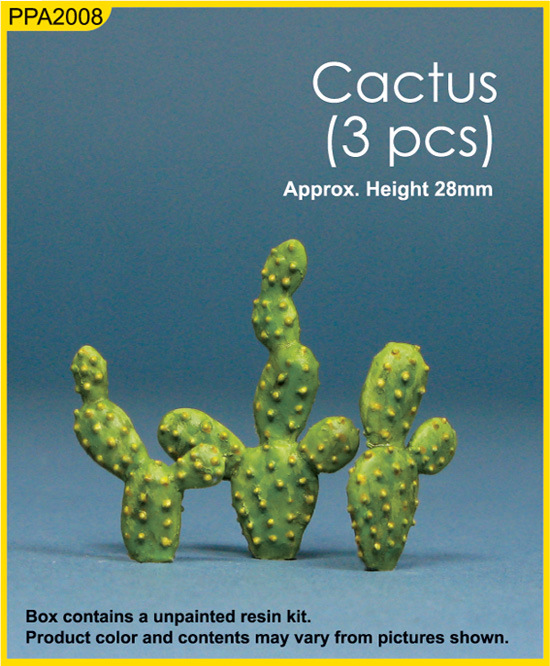 Cactus (3pcs)
