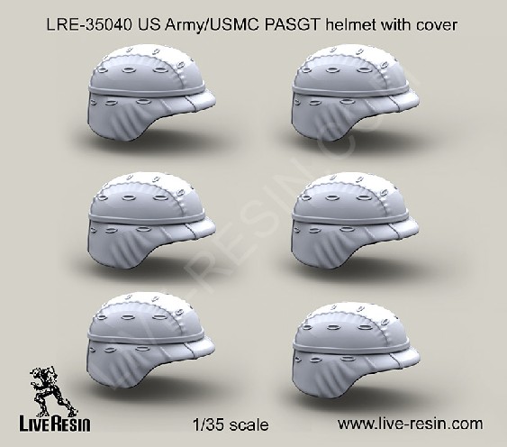 US Army PASGT Helmet w/Cover