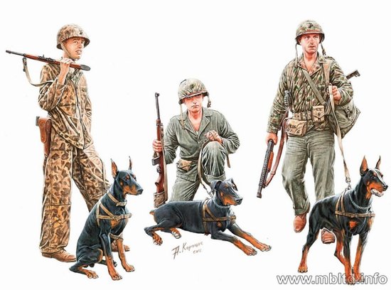 WWII Dogs in Service in the Marine Corps- 3 Marines and 3 Dogs
