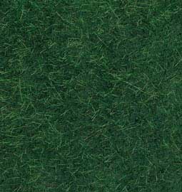 Dark Green Wild Grass