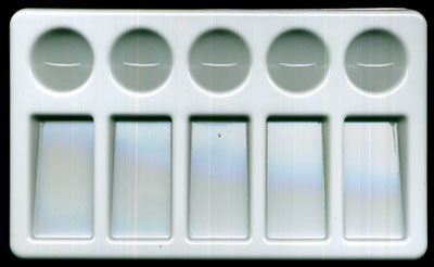 10 Well Palette- Rectangle