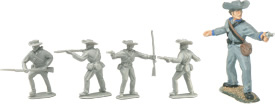 Civil War: Confederate Soldiers