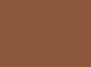 Model Air Camouflage Brown RAL8020