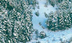 Vallejo Water Effects- Foam & Snow 32ml.