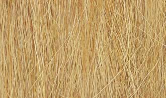 Field Grass - Harvest Gold