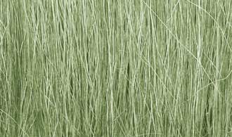 Field Grass - Light Green