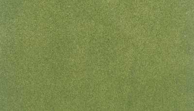 Ready Grass - Roll Mat - Spring Grass Large 50 x 100in